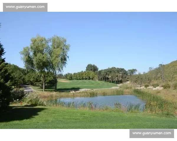 围棋跨界高尔夫首冠诞生 中老铁路架起文化新桥梁